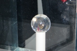 roccia lunare