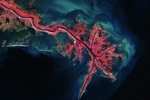 delta-del-mississipi