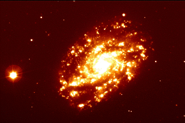 Supernova con buco nero nella Fenice