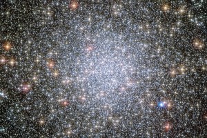 stelle magre