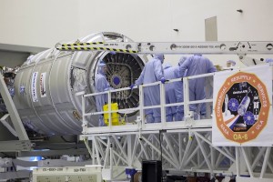 Cygnus