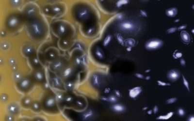 Più giovani le prime stelle