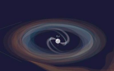 Pulsar “Fenice” ai raggi X