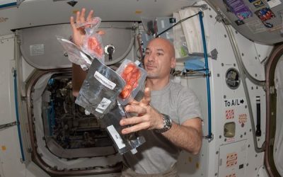 Parmitano e il cibo spaziale