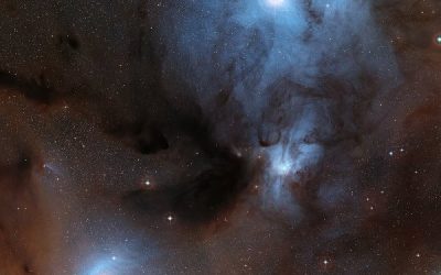Ecco i mattoni della vita