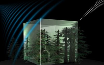 Antenna italiana per Biomass