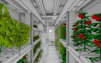 Una green house in Antartico