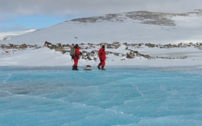 Marte nelle brine antartiche