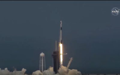 Crew Dragon è in orbita